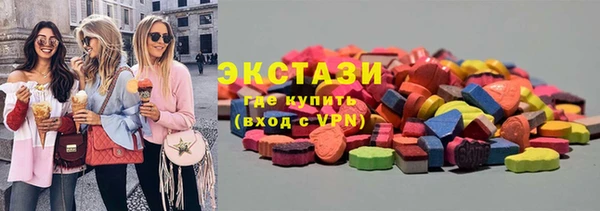 индика Богданович