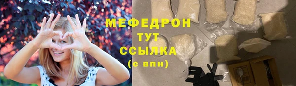 индика Богданович