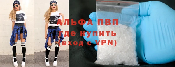 индика Богданович