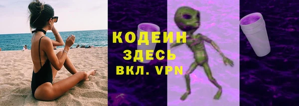 индика Богданович