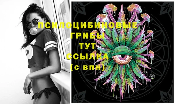 MDMA Богородицк