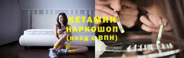 индика Богданович