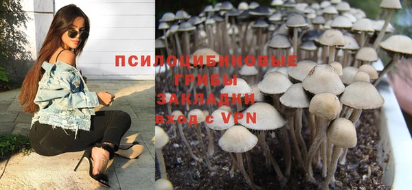 MDMA Богородицк