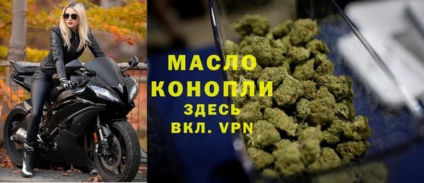 индика Богданович
