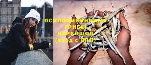 MDMA Богородицк