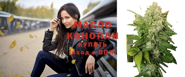 индика Богданович