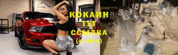 индика Богданович