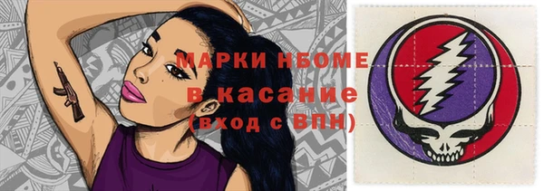индика Богданович