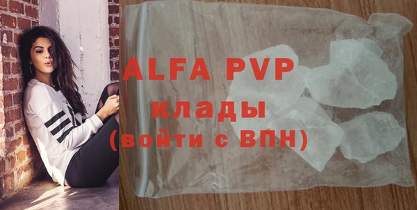 индика Богданович
