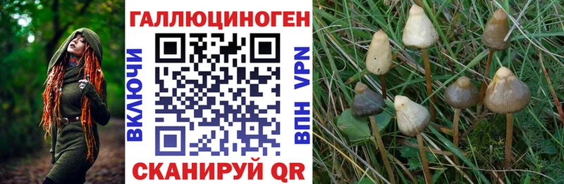 Галлюциногенные грибы прущие грибы  Брюховецкая 